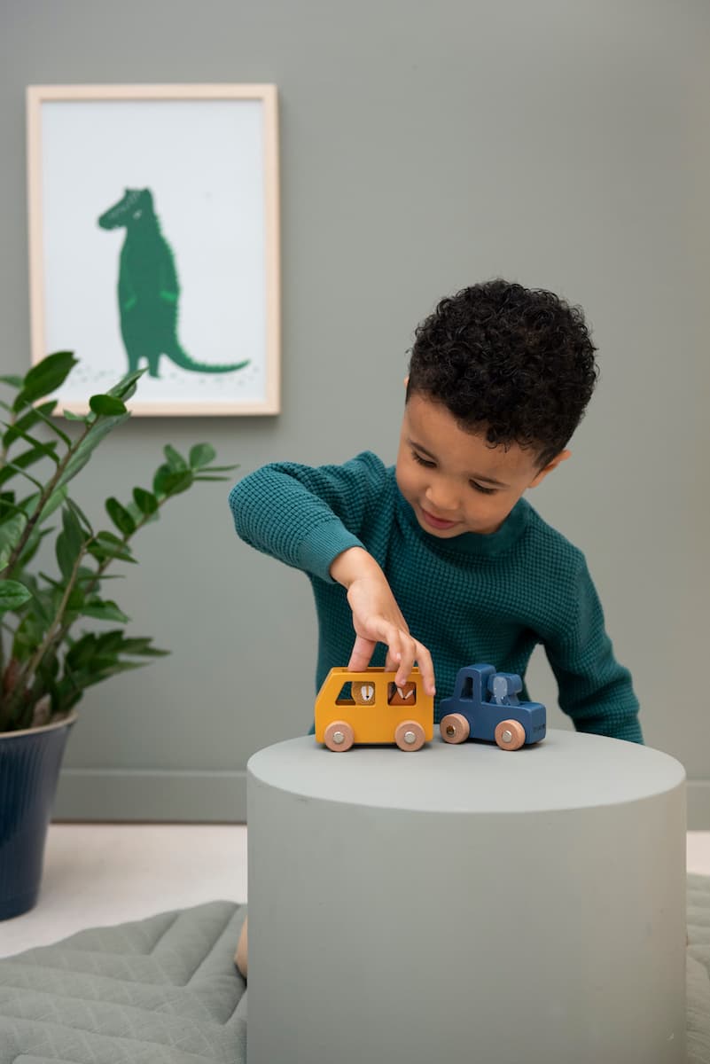 Sett med lekebiler og dyrefigurer